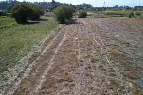 Helårsgrund i Aveiro, Aveiro, Aveiro - € 25.000 | Ref: 149086 - foto 7