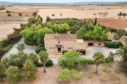 Cortijo i Campos, Mallorca, Campos - € 2.350.000 | Ref: CPS52140 - foto 15