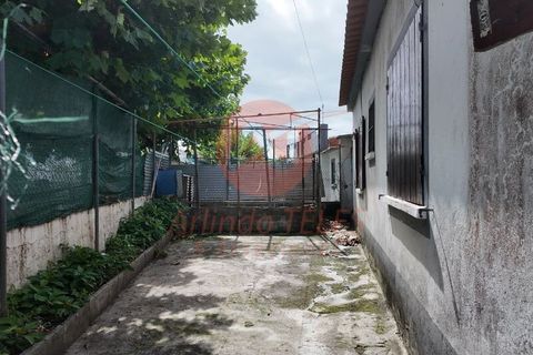 Rækkehus i Angra do Heroismo, Terceira, Angra do Heroismo - € 210.000 | Ref: M1035 - foto 6