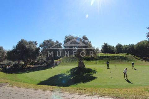 Bungalow i Algorfa, Alicante, Algorfa - € 304.000 | Ref: TV007-N-D - foto 46
