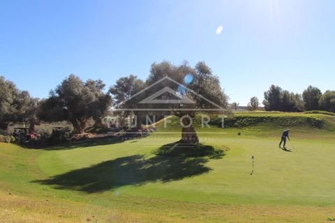 Bungalow i Algorfa, Alicante, Algorfa - € 304.000 | Ref: TV007-N-D - foto 47