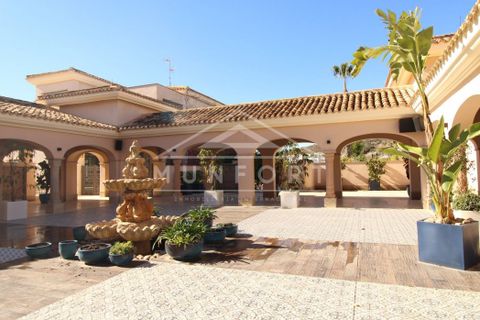 Bungalow i Algorfa, Alicante, Algorfa - € 304.000 | Ref: TV007-N-D - foto 48