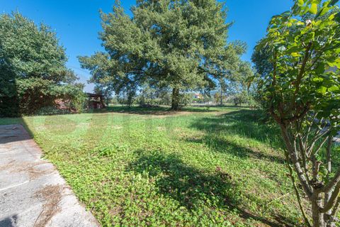 Lejlighed i Roccasecca, Frosinone, Roccasecca - € 128.000 | Ref: AC99-149-1665 - foto 3