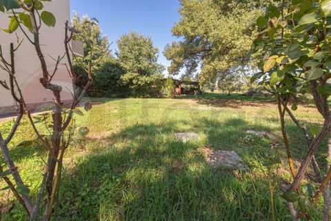 Lejlighed i Roccasecca, Frosinone, Roccasecca - € 128.000 | Ref: AC99-149-1665 - foto 36