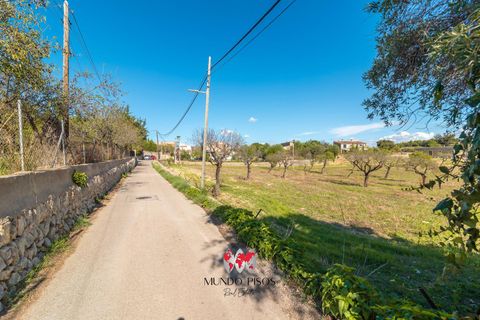 Byhus i Palma De Mallorca, Mallorca, Palma De Mallorca - € 564.500 | Ref: R248 - foto 39