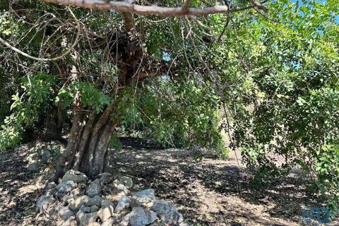 Helårsgrund i Tavira, Faro, Tavira - € 110.000 | Ref: 148357 - foto 2
