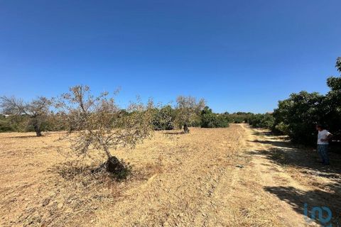 Helårsgrund i Tavira, Faro, Tavira - € 110.000 | Ref: 148357 - foto 3