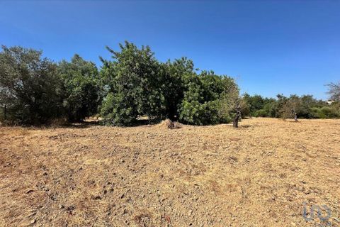 Helårsgrund i Tavira, Faro, Tavira - € 110.000 | Ref: 148357 - foto 5