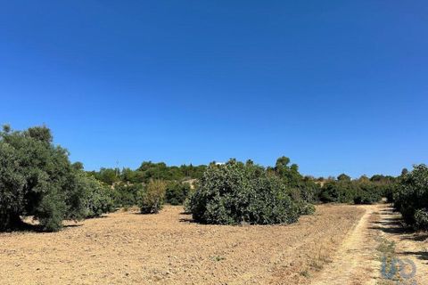 Helårsgrund i Tavira, Faro, Tavira - € 110.000 | Ref: 148357 - foto 6