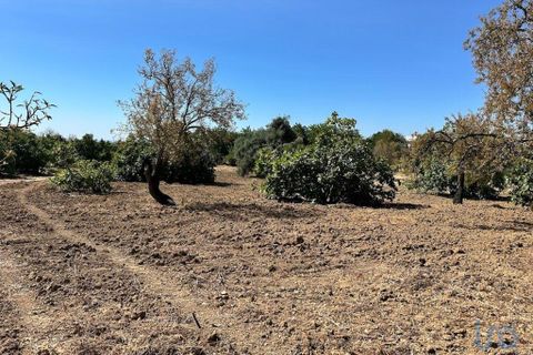 Helårsgrund i Tavira, Faro, Tavira - € 110.000 | Ref: 148357 - foto 7