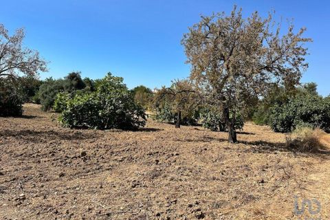 Helårsgrund i Tavira, Faro, Tavira - € 110.000 | Ref: 148357 - foto 8