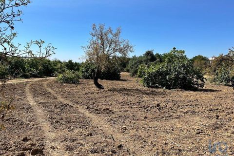 Helårsgrund i Tavira, Faro, Tavira - € 110.000 | Ref: 148357 - foto 9