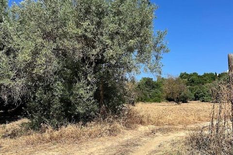Helårsgrund i Tavira, Faro, Tavira - € 110.000 | Ref: 148357 - foto 10