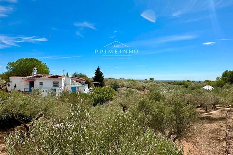 Villa a Camarles, Tarragona, Camarles - € 397.500 | Ref: 1153 - foto 2