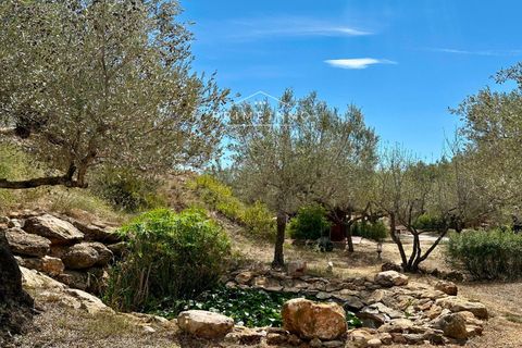 Villa a Camarles, Tarragona, Camarles - € 397.500 | Ref: 1153 - foto 31