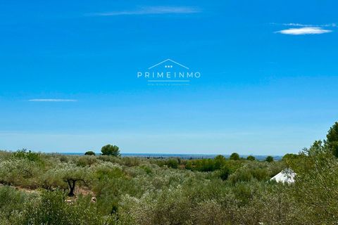Villa a Camarles, Tarragona, Camarles - € 397.500 | Ref: 1153 - foto 37