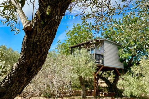 Villa a Camarles, Tarragona, Camarles - € 397.500 | Ref: 1153 - foto 44
