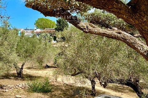Villa a Camarles, Tarragona, Camarles - € 397.500 | Ref: 1153 - foto 46