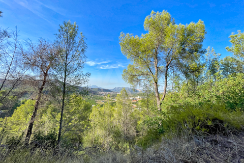 Helårsgrund i Valencia, Valencia, Valencia - € 540.000 | Ref: 692567 - foto 8