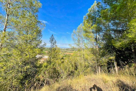 Helårsgrund i Valencia, Valencia, Valencia - € 540.000 | Ref: 692567 - foto 17