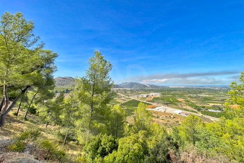 Helårsgrund i Valencia, Valencia, Valencia - € 540.000 | Ref: 692567 - foto 31