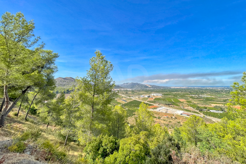 Helårsgrund i Valencia, Valencia, Valencia - € 540.000 | Ref: 692567 - foto 32