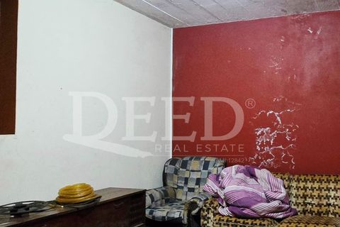 Helårsgrund i Arco da Calheta, Madeira, Arco da Calheta - € 330.000 | Ref: DEED/1015 - foto 3