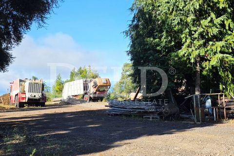 Helårsgrund i Arco da Calheta, Madeira, Arco da Calheta - € 330.000 | Ref: DEED/1015 - foto 4