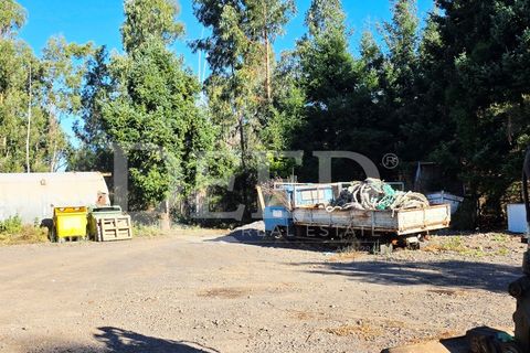 Helårsgrund i Arco da Calheta, Madeira, Arco da Calheta - € 330.000 | Ref: DEED/1015 - foto 5