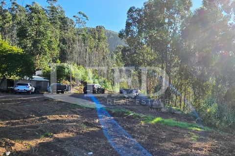 Helårsgrund i Arco da Calheta, Madeira, Arco da Calheta - € 330.000 | Ref: DEED/1015 - foto 6