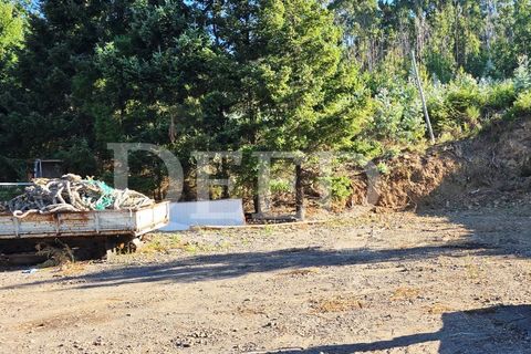 Helårsgrund i Arco da Calheta, Madeira, Arco da Calheta - € 330.000 | Ref: DEED/1015 - foto 7