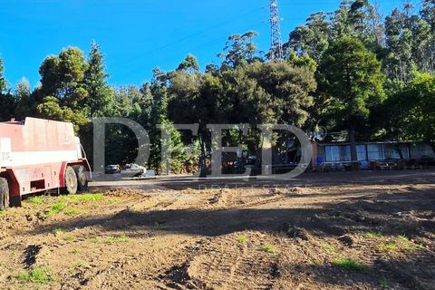 Helårsgrund i Arco da Calheta, Madeira, Arco da Calheta - € 330.000 | Ref: DEED/1015 - foto 8
