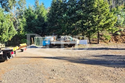 Helårsgrund i Arco da Calheta, Madeira, Arco da Calheta - € 330.000 | Ref: DEED/1015 - foto 9