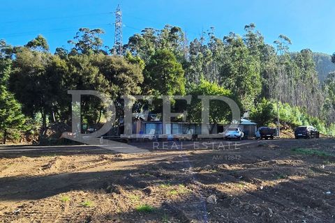 Helårsgrund i Arco da Calheta, Madeira, Arco da Calheta - € 330.000 | Ref: DEED/1015 - foto 10