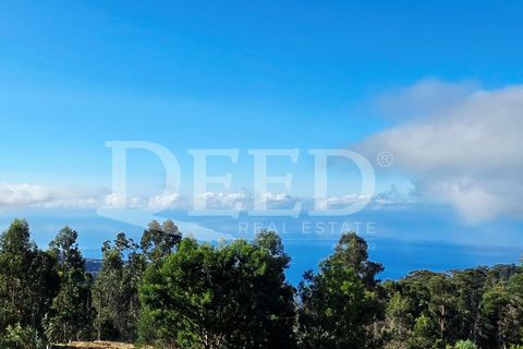 Helårsgrund i Arco da Calheta, Madeira, Arco da Calheta - € 330.000 | Ref: DEED/1015 - foto 11
