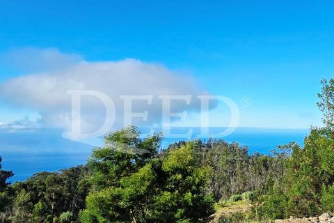 Helårsgrund i Arco da Calheta, Madeira, Arco da Calheta - € 330.000 | Ref: DEED/1015 - foto 13