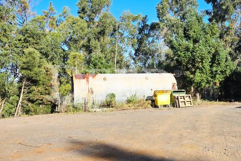 Helårsgrund i Arco da Calheta, Madeira, Arco da Calheta - € 330.000 | Ref: DEED/1015 - foto 14