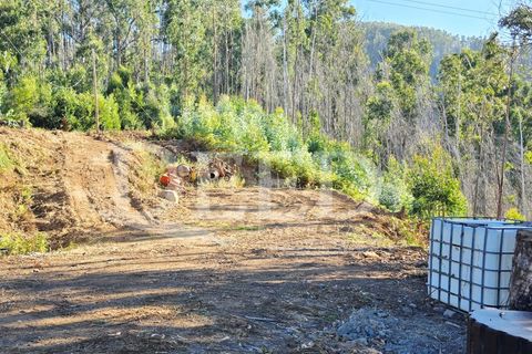Helårsgrund i Arco da Calheta, Madeira, Arco da Calheta - € 330.000 | Ref: DEED/1015 - foto 15