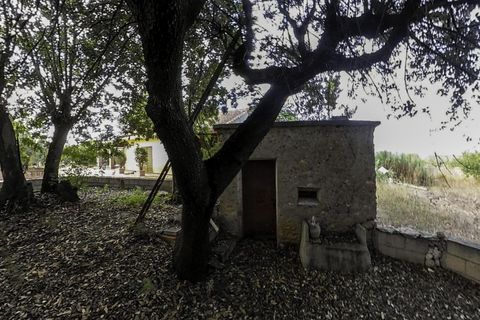 Villa a Albaida, Valencia, Albaida - € 170.000 | Ref: EXP11423/8930 - foto 29