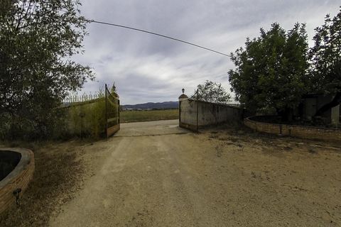 Villa a Albaida, Valencia, Albaida - € 170.000 | Ref: EXP11423/8930 - foto 33