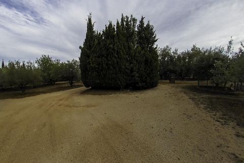 Villa a Albaida, Valencia, Albaida - € 170.000 | Ref: EXP11423/8930 - foto 34