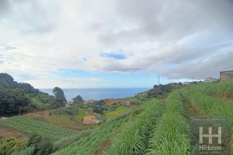 Villa i Ponta do Sol, Madeira, Ponta do Sol - € 495.000 | Ref: HH_2642MD25 - foto 10