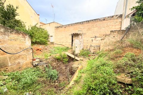 Villa i Alcudia, Mallorca, Alcudia - € 695.000 | Ref: 2262 - foto 11