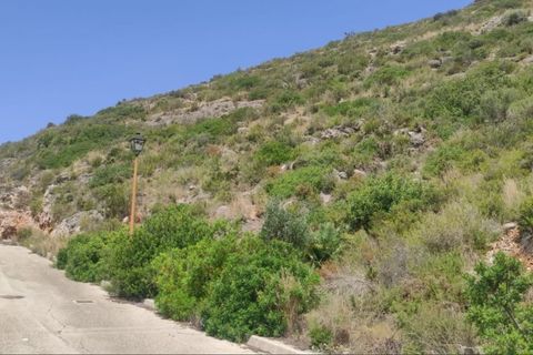 Terra a Jalon, Alicante - foto 3