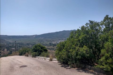 Terra a Jalon, Alicante, Jalon - € 90.000 | Ref: 5-50-15879 - foto 7