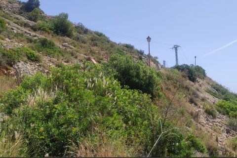 Terra a Jalon, Alicante, Jalon - € 90.000 | Ref: 5-50-15879 - foto 10