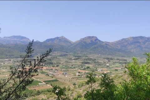 Terra a Jalon, Alicante, Jalon - € 90.000 | Ref: 5-50-15879 - foto 12