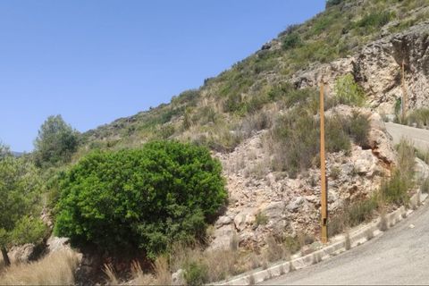 Terra a Jalon, Alicante, Jalon - € 90.000 | Ref: 5-50-15879 - foto 14