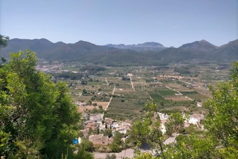 Terra a Jalon, Alicante, Jalon - € 90.000 | Ref: 5-50-15879 - foto 15