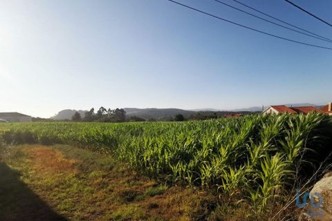 Terra a Esposende, Braga, Esposende - € 319.000 | Ref: 146053 - foto 2